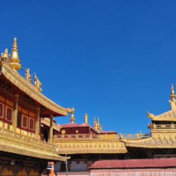 評論圖片 5
