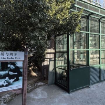 評論圖片 5
