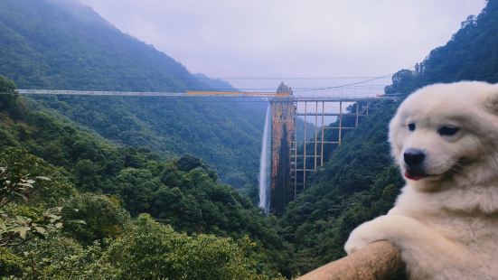 宠物友好景区好评，动物园的动物都是尽量散养的，很有活力，海洋