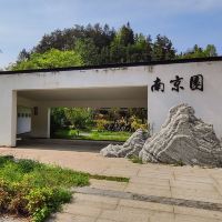 評論圖片 6