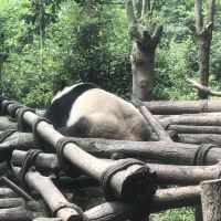 評論圖片 1