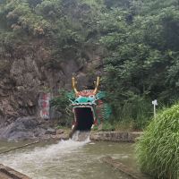 評論圖片 4