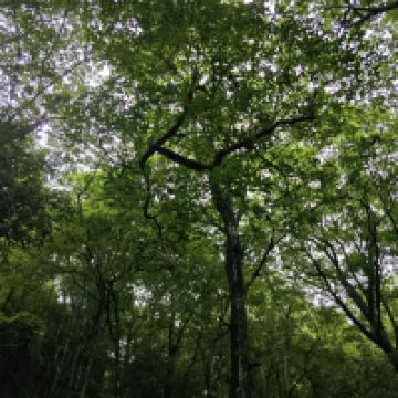 評論圖片 3