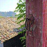 評論圖片 3