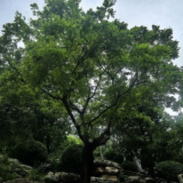 評論圖片 4