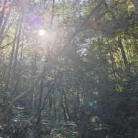 評論圖片 2