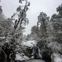評論圖片 5