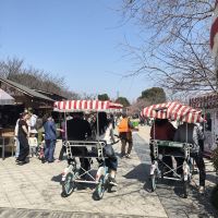 評論圖片 9