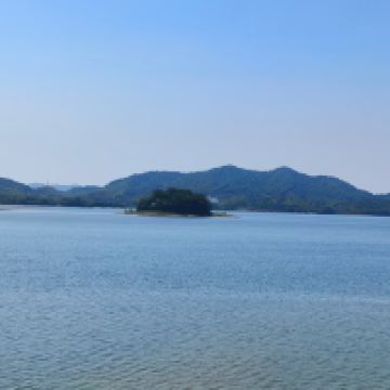 評論圖片 8