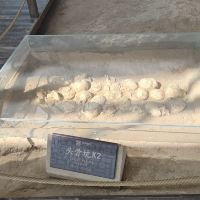 評論圖片 2