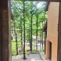 評論圖片 2