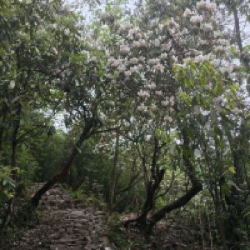評論圖片 2