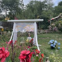 評論圖片 1