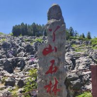 評論圖片 1