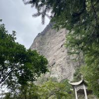 評論圖片 3