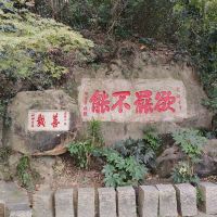 評論圖片 1