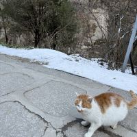 評論圖片 6