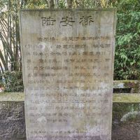 評論圖片 5