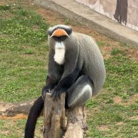 評論圖片 8