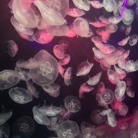 評論圖片 3