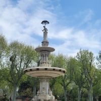 評論圖片 8