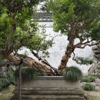 評論圖片 2