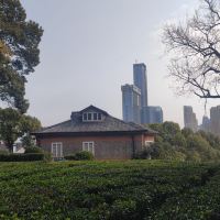評論圖片 6