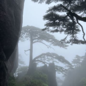 評論圖片 6