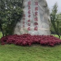 評論圖片 1