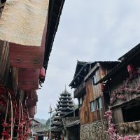 評論圖片 2