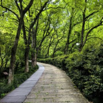 評論圖片 1