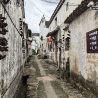 評論圖片 4