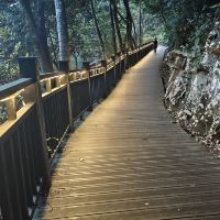 評論圖片 6
