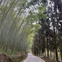 評論圖片 3