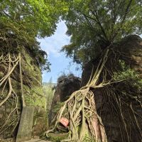 評論圖片 8