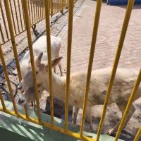 評論圖片 8