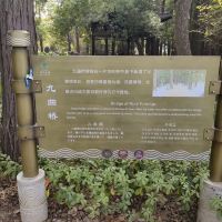 評論圖片 6