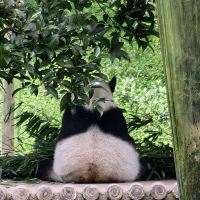 評論圖片 6
