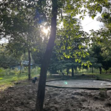 評論圖片 6
