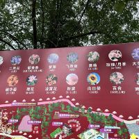評論圖片 9