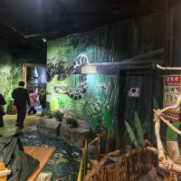 評論圖片 2