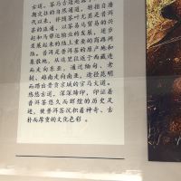 評論圖片 5