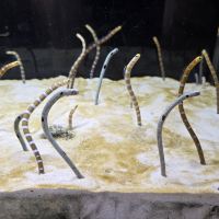 評論圖片 6