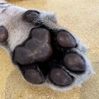 評論圖片 3