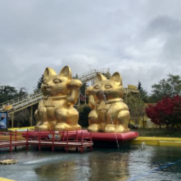 評論圖片 5