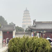 評論圖片 2