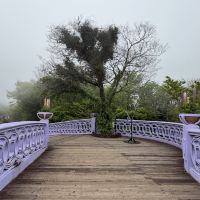 評論圖片 1
