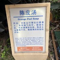 評論圖片 5