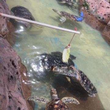 評論圖片 7