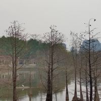 評論圖片 2